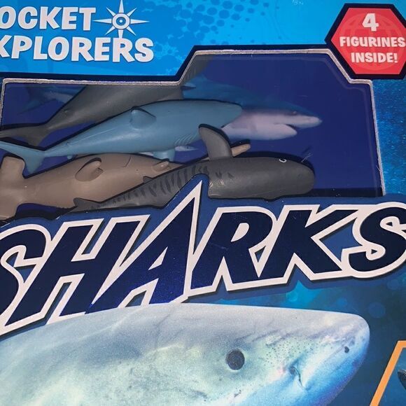 Pocket Explorers  - Picture 2 of 6